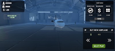 Poster Flight Simulator PRO