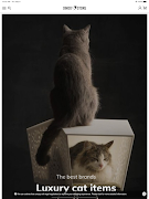 DihooStore captura de pantalla 7