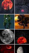 Moon Wallpaper gönderen