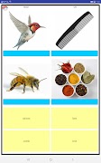 Learn the English language スクリーンショット 6