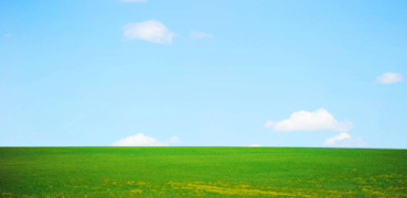 برنامه‌نما Virtual Background for Meeting عکس از صفحه