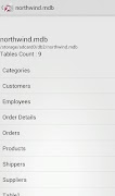 Viewer for MS Access ACCDB-MDB syot layar 4