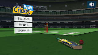 CricketWay screenshot 6
