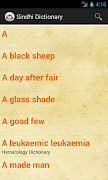 Sindhi Dictionary Screenshot 1