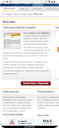 Controllo Targa poster