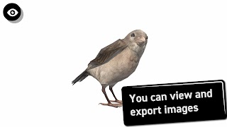 Bird 3D Reference ảnh chụp màn hình 3