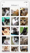 Funny and Cute Cats 스크린샷 1
