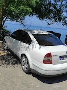 Passat screenshot 1