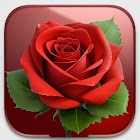 Rose Wallpaper アイコン