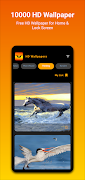 10000 HD Wallpapers Screenshot 3