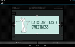 Copy Text From Screen screenshot 3