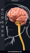 Brain Anatomy Pro. screenshot 1