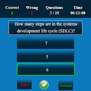System Analysis and Design MCQ تصوير الشاشة 3