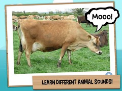 Baby Touch Sounds स्क्रीनशॉट 7