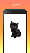 Save The Kitten ảnh chụp màn hình 5