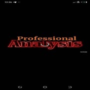 Professional Analysis 截图 7