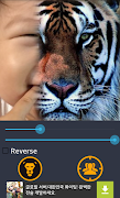 Animal face - Face Morphing screenshot 4