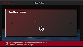 برنامه‌نما Taekwon-Do ITF Patterns عکس از صفحه