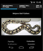 Ball Pythons screenshot 3