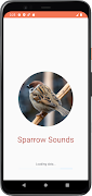 Poster suoni di passero
