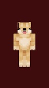 Dog Skin For Minecraft poster