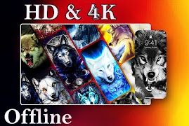 Wolf Wallpaper HD পোস্টার