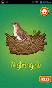 Learn Birds Name screenshot 4