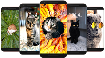 Cat Wallpaper HD captura de pantalla 3
