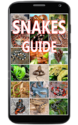 Snakes Identification Guide Ekran Görüntüsü 6