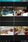 mydlink View-NVR 截圖 1