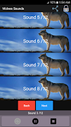 Wolves Sounds captura de pantalla 1