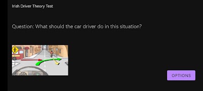 Irish Theory Test Practice screenshot 5