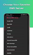 Lion DNS Changer Net Optimizer screenshot 3