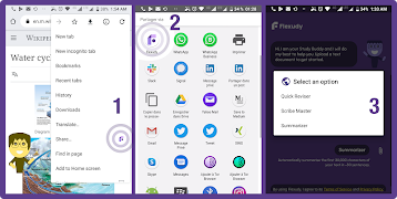 Flexudy screenshot 6