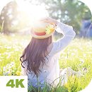 Spring Wallpapers APK