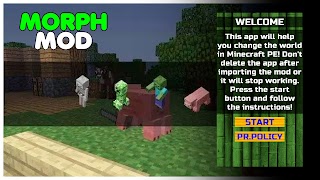 Poster Morph Mod for Minecraft PE