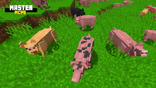 Master for Minecraft PE - MCPE screenshot 5