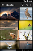 Sync for Flickr ポスター