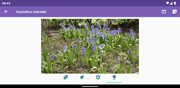 Flora Box screenshot 6