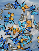 Butterflies App スクリーンショット 2