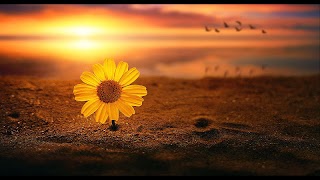Hot Art Wallpapers screenshot 3