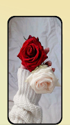 برنامه‌نما Rose Images عکس از صفحه