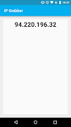IP Grabber постер