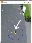 DfAnnotate Screenshot 3