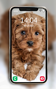 Animals Wallpapers screenshot 7