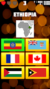 Flags Quiz Cartaz