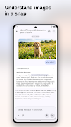 5 Schermata ChatBoost: App Agenti IA