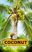 Coconut Cartaz