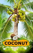 Coconut plakat