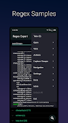 Regex Search Expert পোস্টার